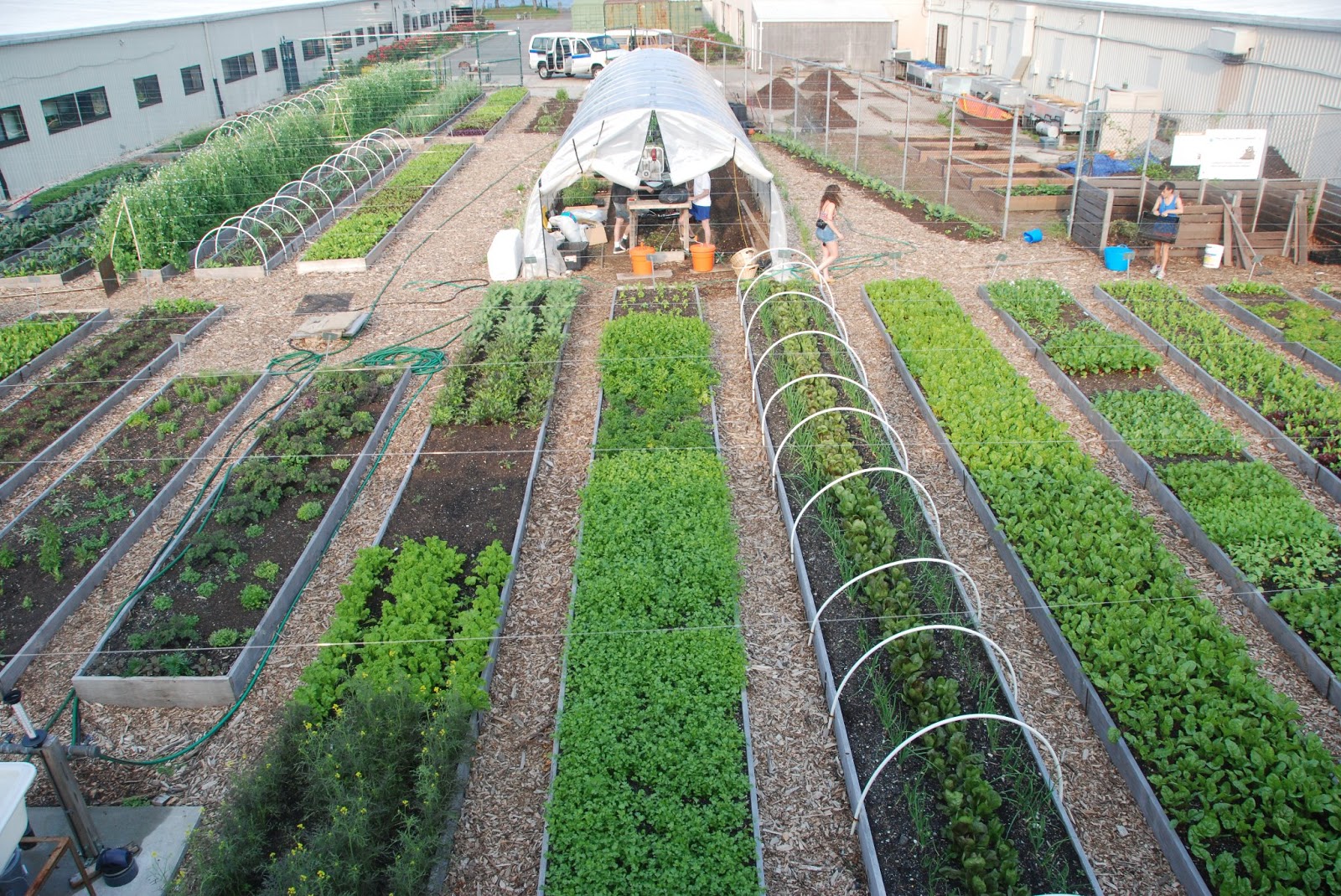 urban-agriculture-the-big-picture